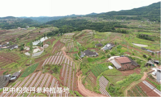 破解发展难题，探索创新路径，打造示范样板插图4