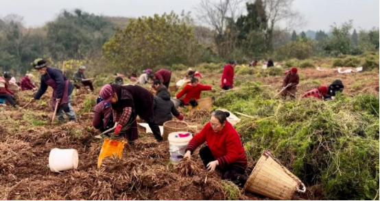 破解发展难题，探索创新路径，打造示范样板插图49