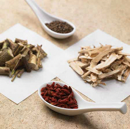 《中医药法》坚持扶持与规范并重原则插图