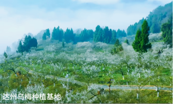 破解发展难题，探索创新路径，打造示范样板插图5