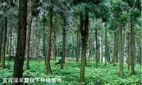 破解发展难题，探索创新路径，打造示范样板插图6