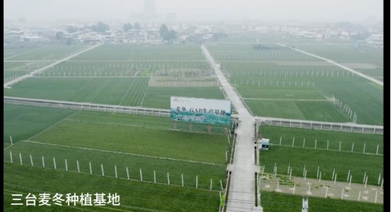 破解发展难题，探索创新路径，打造示范样板插图39