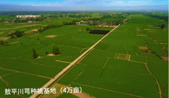 破解发展难题，探索创新路径，打造示范样板插图19