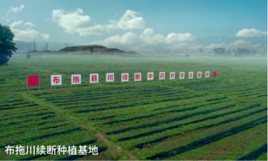 破解发展难题，探索创新路径，打造示范样板插图3