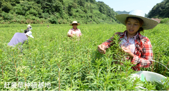 破解发展难题，探索创新路径，打造示范样板插图33