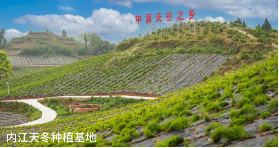 破解发展难题，探索创新路径，打造示范样板插图48