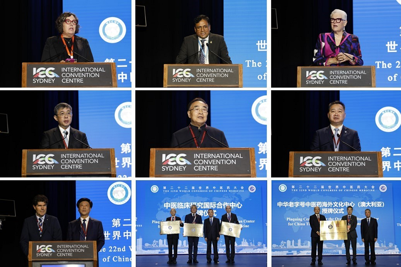 裕亨中医新闻丨古老药香遇国际“金标”，中医药这样“闯世界”！插图6