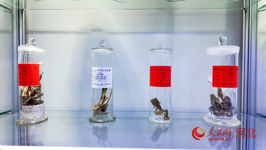 裕亨中医新闻丨从中国到世界：八子补肾胶囊抗衰老研究引越南论坛关注！插图1