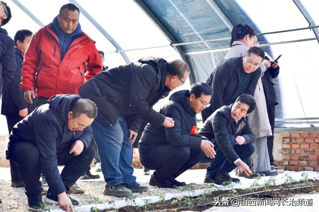 长治市中医医院为何赴壶关县店上镇西汉村开展帮扶慰问？将如何助力乡村振兴？插图4