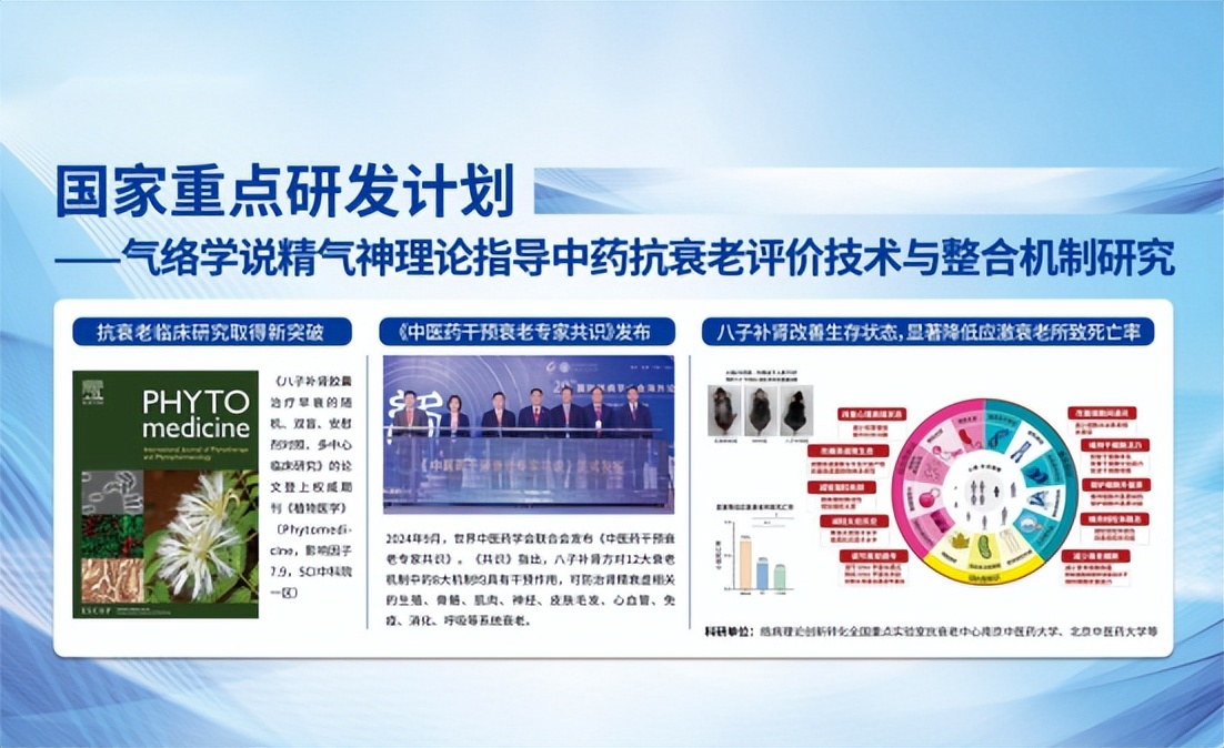 八子补肾：从中医药理论创新到抗衰实践的突破插图1