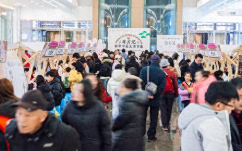 书香药香交织！济南“寻方记”市集解锁都市养生新玩法插图