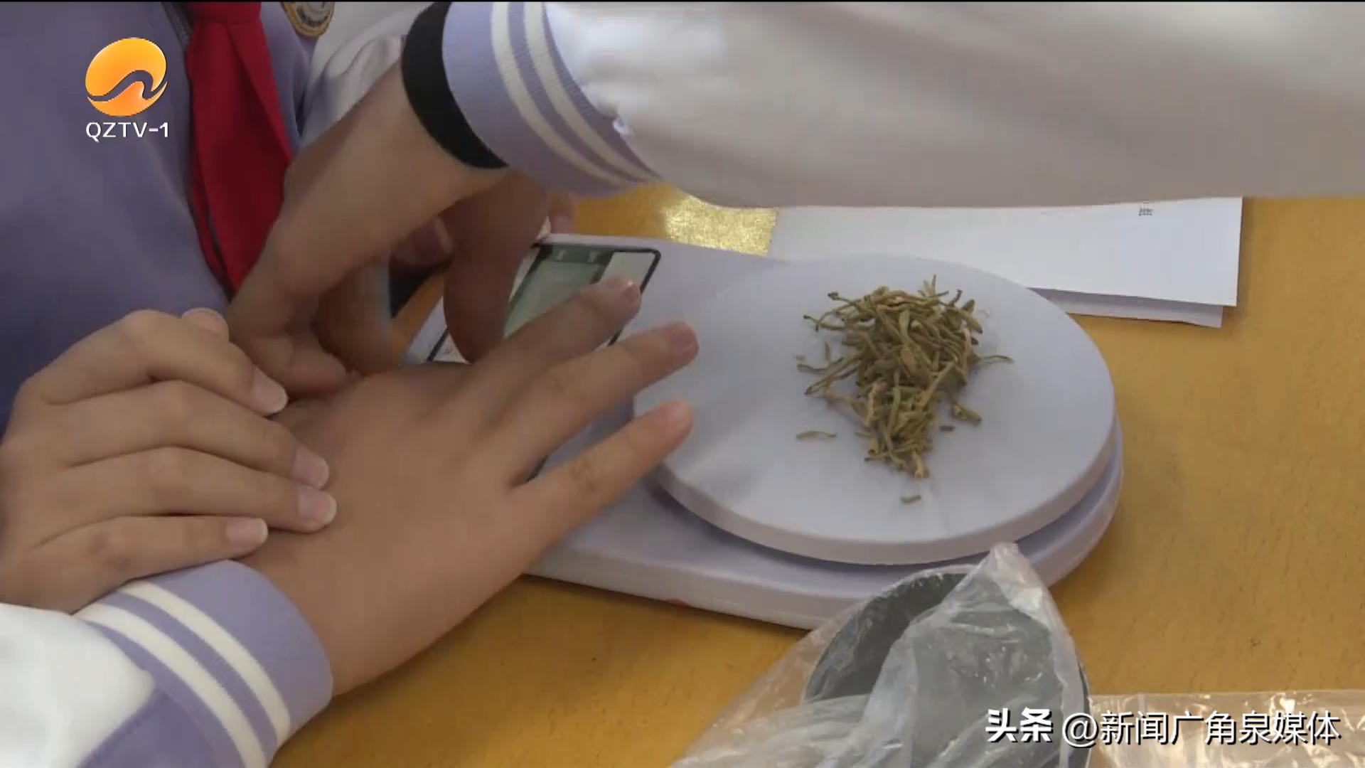 中医药文化“扎根”校园 特色课程点亮学生成长路插图3