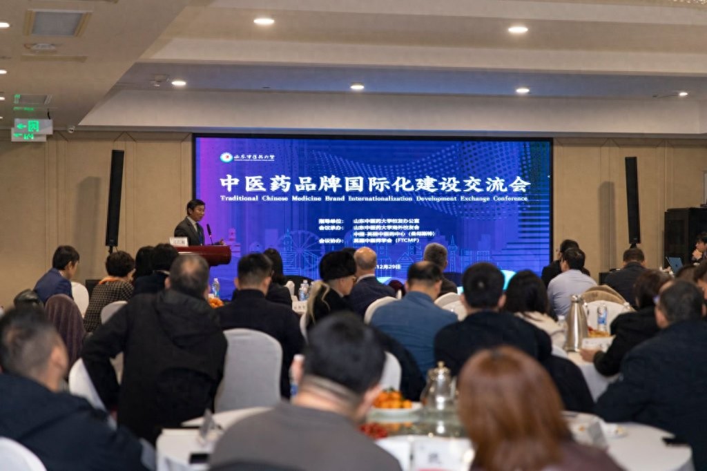 泉城聚智，国药出海！济南中医药品牌国际化交流会共探新路径插图