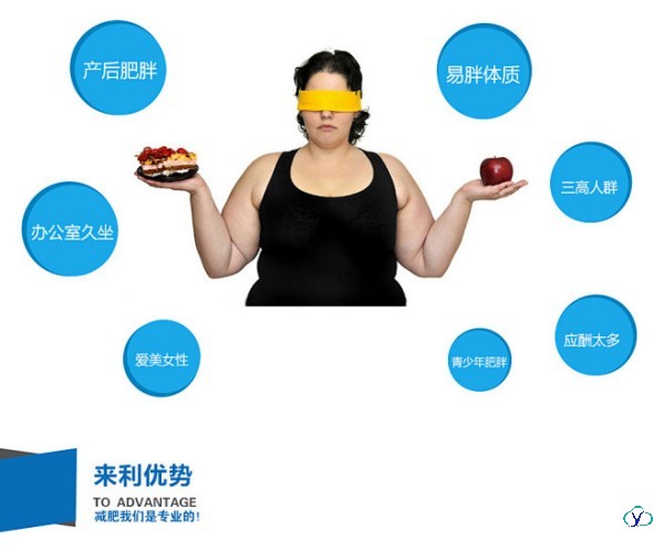 久坐吃什么可以减肥？插图1