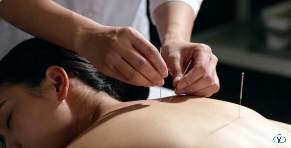 肥肥胖胖打一生肖答案？