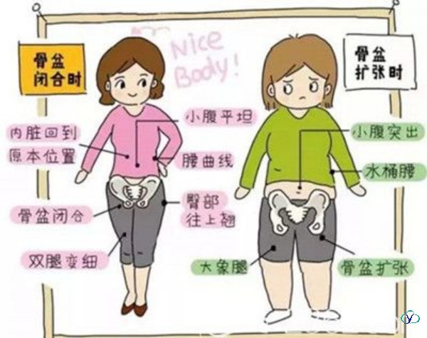 吃什么能增胖最快？