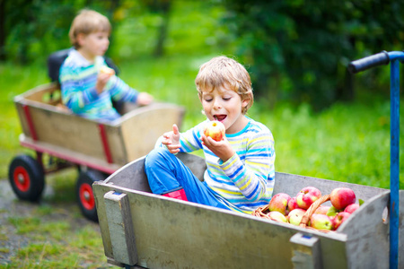 什么是五迟五软？详解小儿五迟五软的表现危害、中医健脾益智方案、干预方法及预防要点