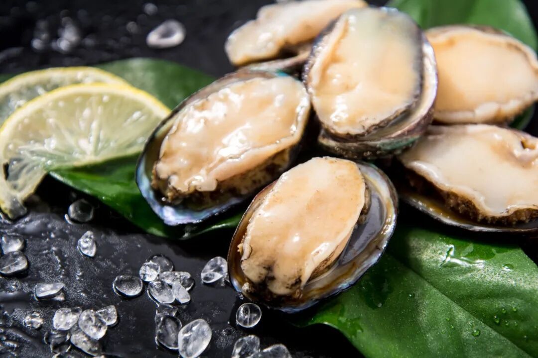 冬季温补首选！黄芪山药烧鲍鱼：鲜掉眉毛的药食同源养生方插图2