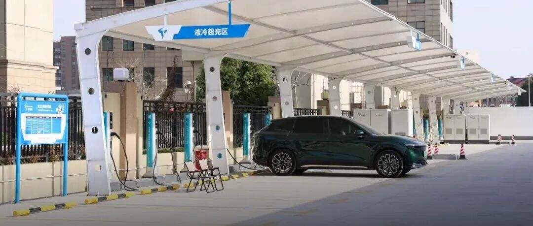 葫”助气血 “艾”护健康，宝山市民身边的上海市中医特色专病专科（社区）→插图25