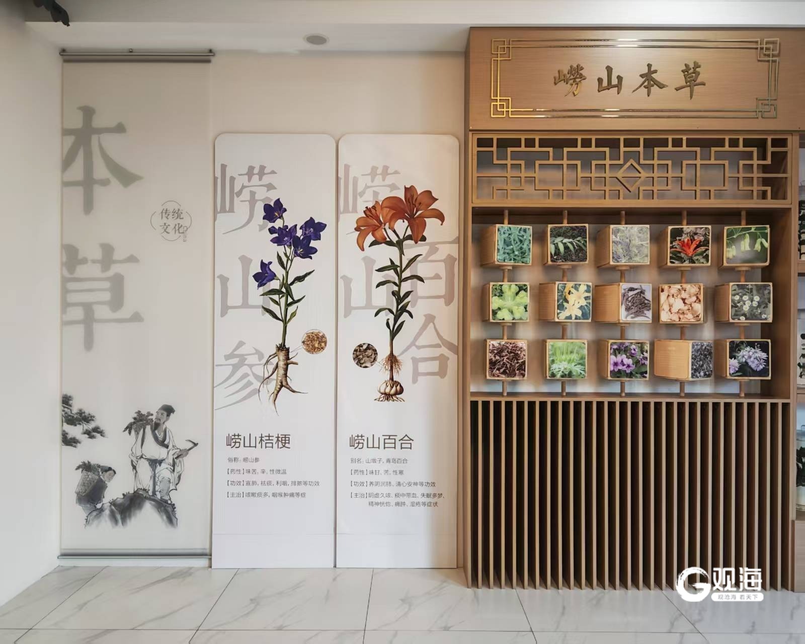 北宅 90 后 “老中医” 陈朔：以针为刃，如何在基层奏响中医药传承与发展之歌？插图1