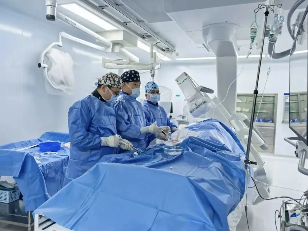 两载深耕守初心 医心护民启新程——上海市中医医院嘉定院区启用两周年成效斐然插图1