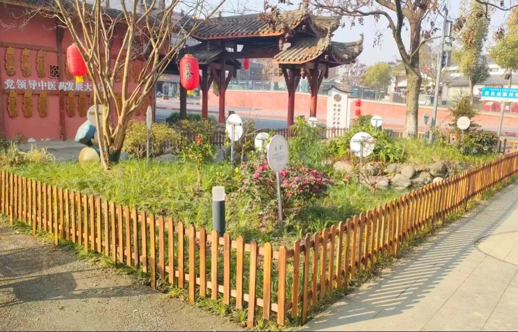 四川多地如何打造中医药文旅新名片？青白江、郫都、筠连三地各有何独特做法与亮点？插图7