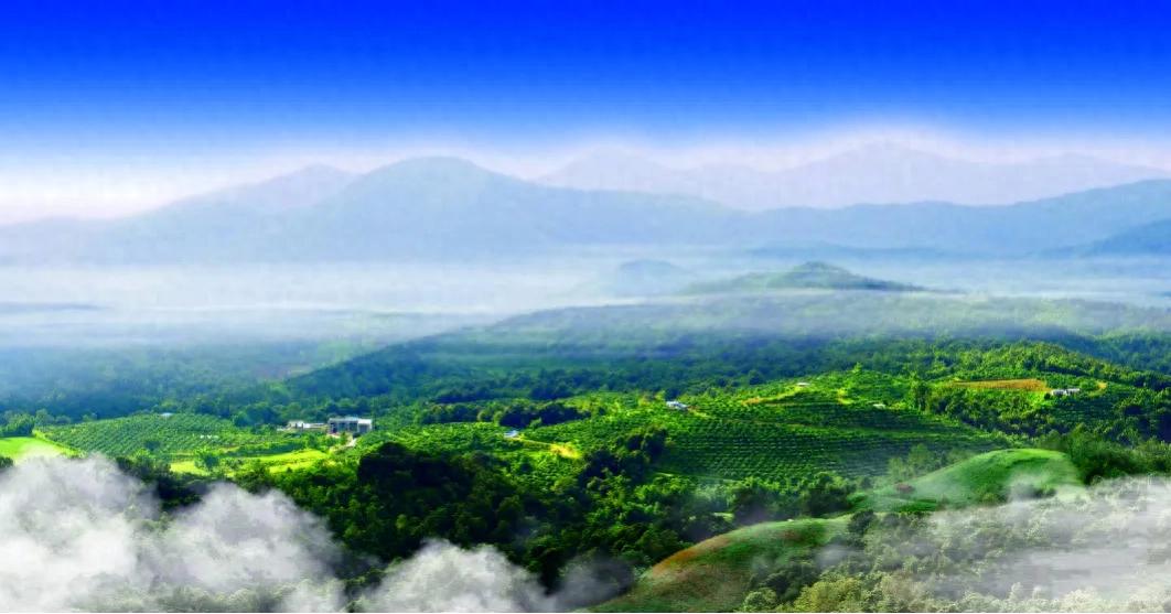 四川多地如何打造中医药文旅新名片？青白江、郫都、筠连三地各有何独特做法与亮点？插图