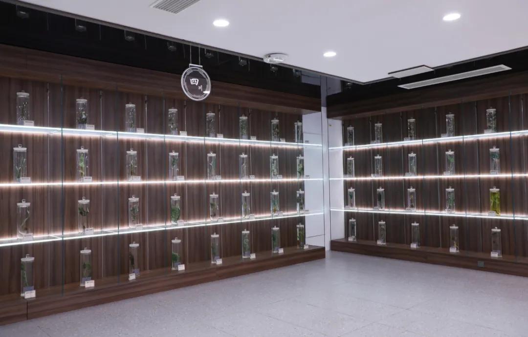 四川多地如何打造中医药文旅新名片？青白江、郫都、筠连三地各有何独特做法与亮点？插图10