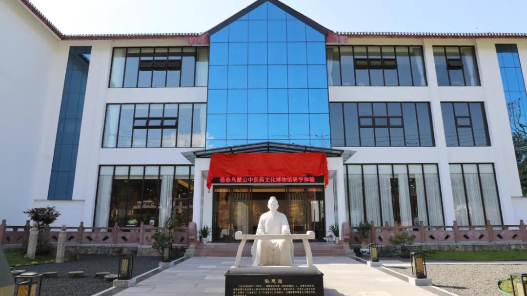 四川多地如何打造中医药文旅新名片？青白江、郫都、筠连三地各有何独特做法与亮点？插图8