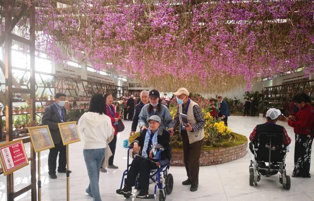 四川多地如何打造中医药文旅新名片？青白江、郫都、筠连三地各有何独特做法与亮点？插图2