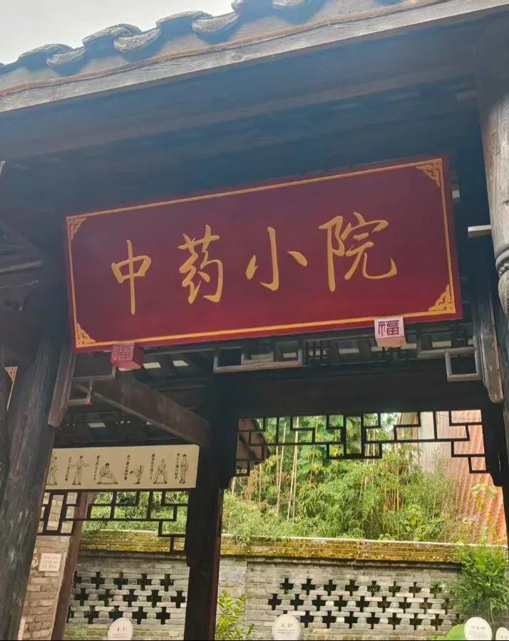 四川多地如何打造中医药文旅新名片？青白江、郫都、筠连三地各有何独特做法与亮点？插图5