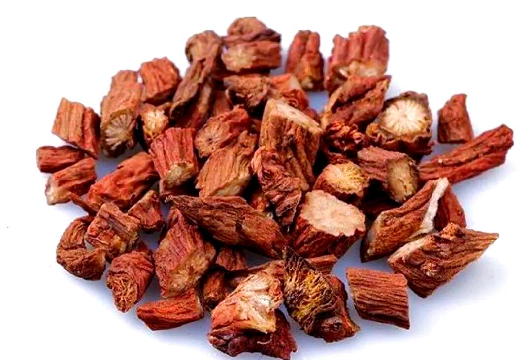 1味中药不起眼，既能清肺毒，又能破痰结，1cm以下肺结节都能消插图3