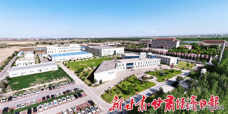 陇药匠心守初心 盛堂筑质护民生——兰州和盛堂以质量与创新践行3·15使命插图