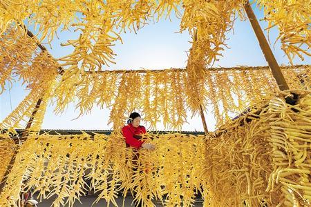 中药材市场规模持续扩大