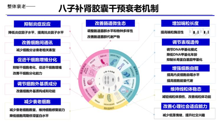 气络学说精气神理论赋能中医药现代化 八子补肾斩获抗衰老重大科研成果插图1